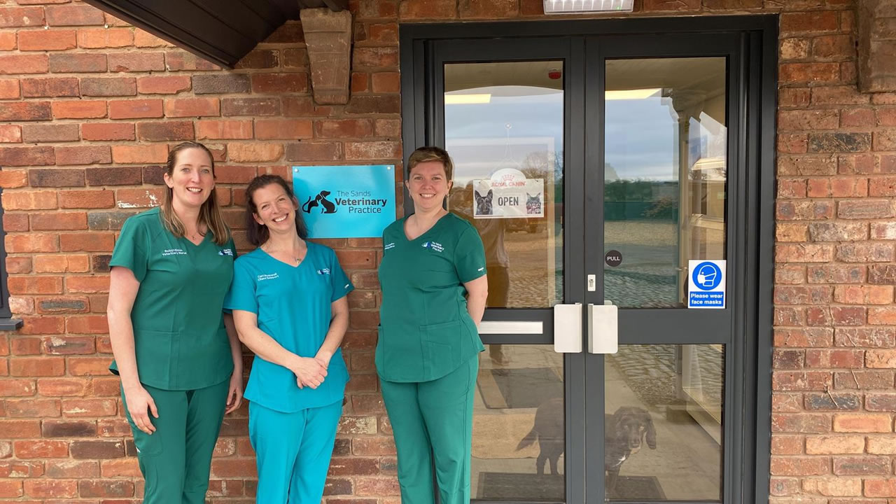 A warm welcome from The Sands Veterinary Practice team
