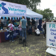 The Sands Veterinary Practice were proud sponsors of the Ashton Hayes Dog Show